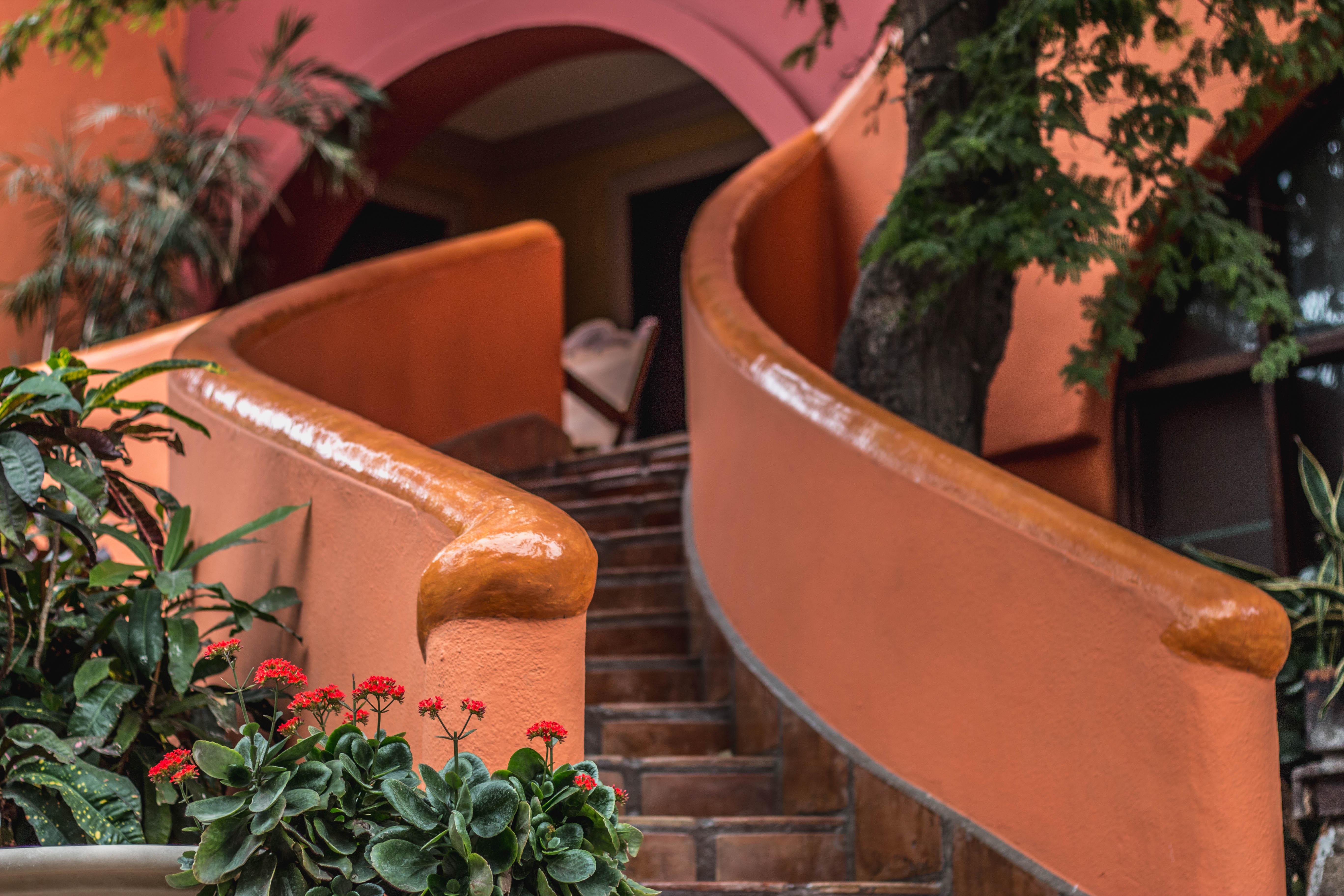 Collection O Casa Bella Hotel Boutique, Cabo San Lucas Luaran gambar