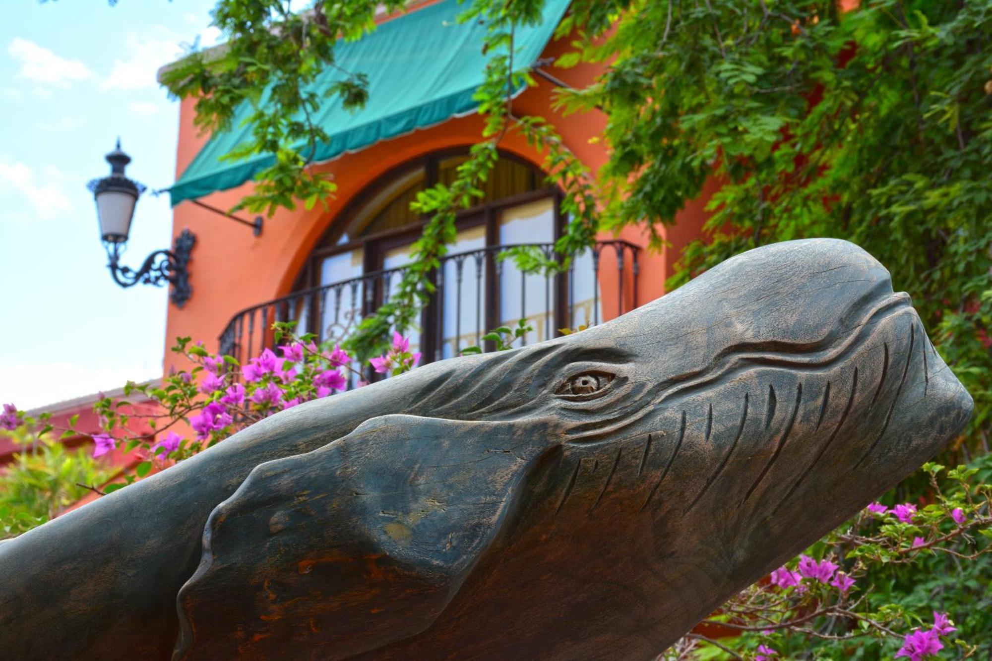 Collection O Casa Bella Hotel Boutique, Cabo San Lucas Luaran gambar