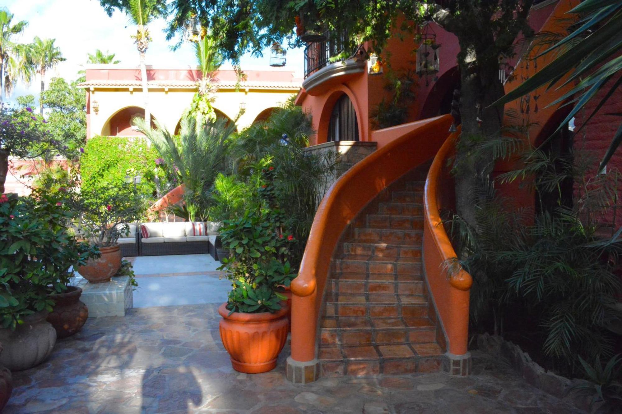 Collection O Casa Bella Hotel Boutique, Cabo San Lucas Luaran gambar